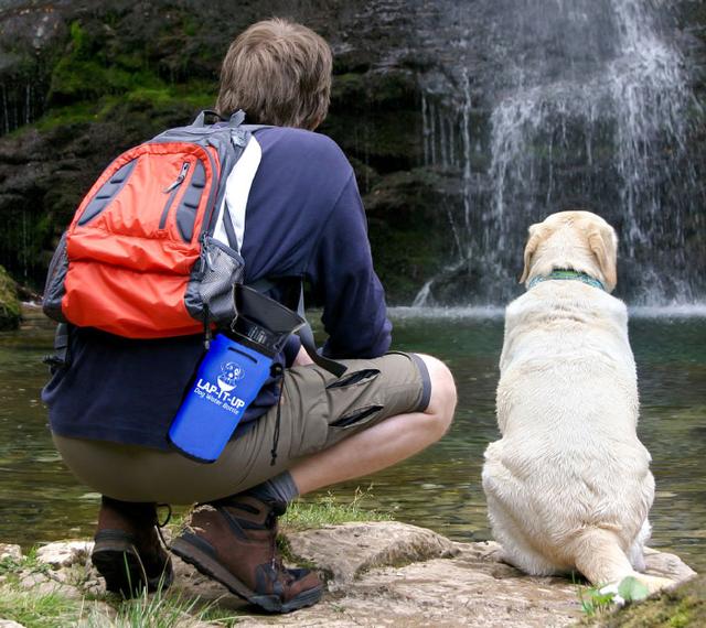 LapItUp Dog Water Bottle